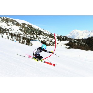 Professional 27 mm Platinium