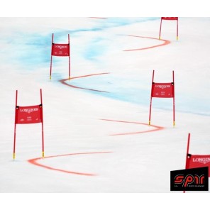 Ryggbåren sprøyte 20 liter